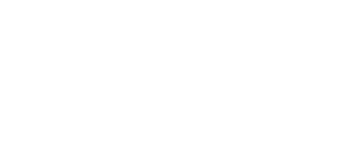 Faded Everlast Logo